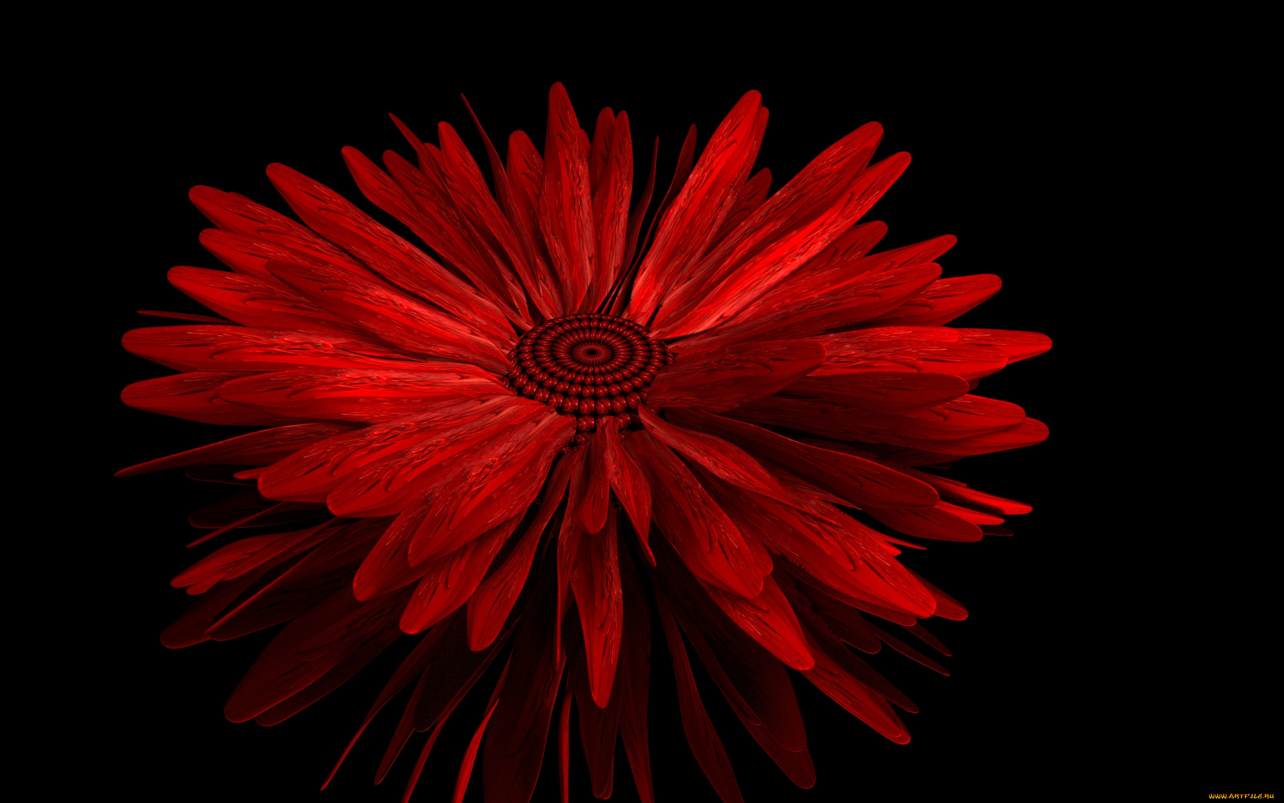 3 ,  , flowers, , 